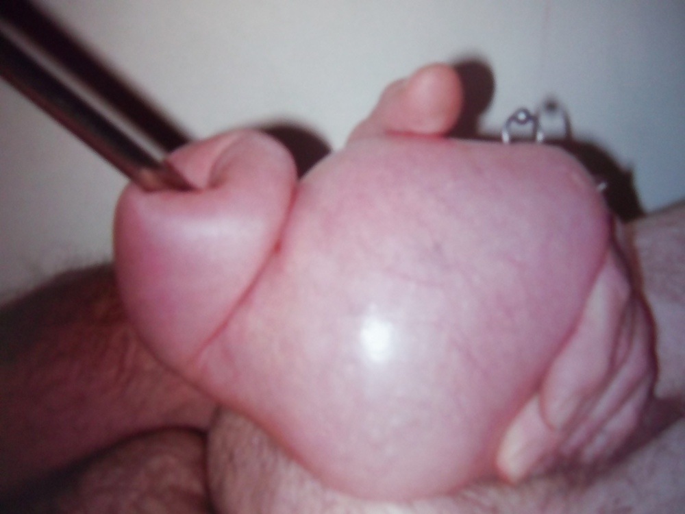 COCK #4040644