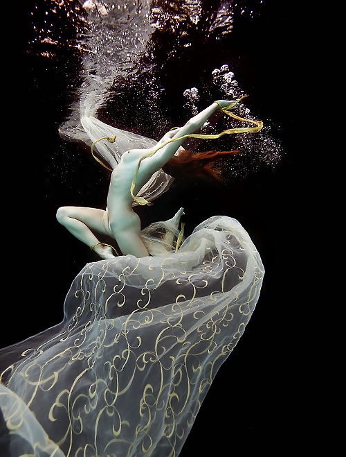 En color vivo
 #12710585