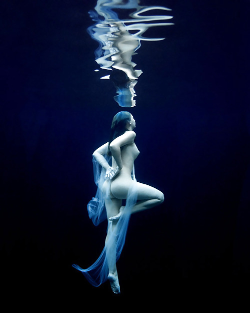 En color vivo
 #12711574