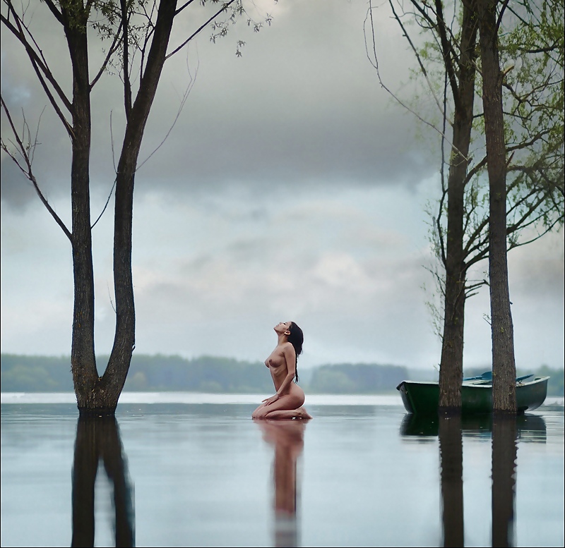 En color vivo
 #12711841