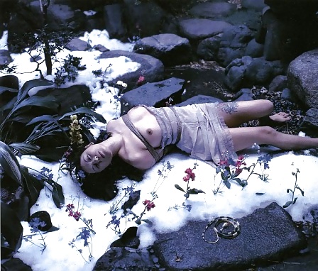 En color vivo
 #12712628