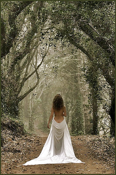 En color vivo
 #12713232