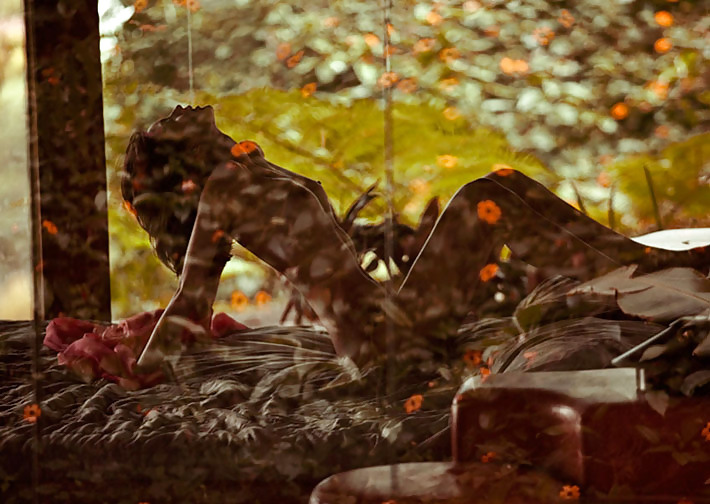 En color vivo
 #12713285