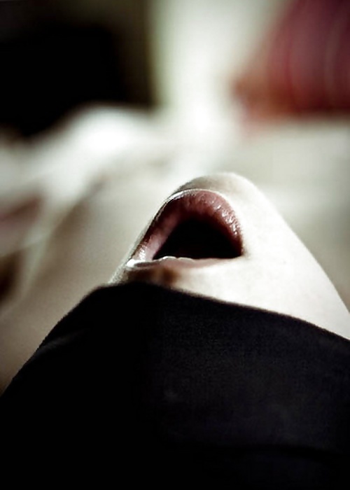 En color vivo
 #12713384