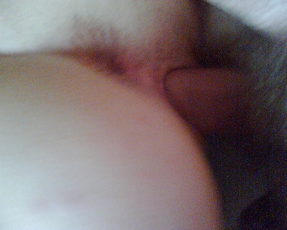 Pussy of my girlfriend #3363404