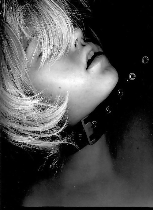Collared and Leashed #12166216