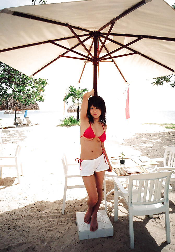 日本の美人たち
 #20494868