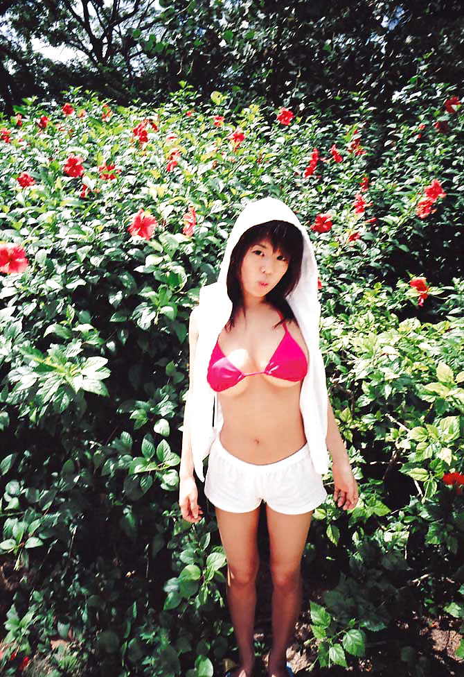 日本の美人たち
 #20494873