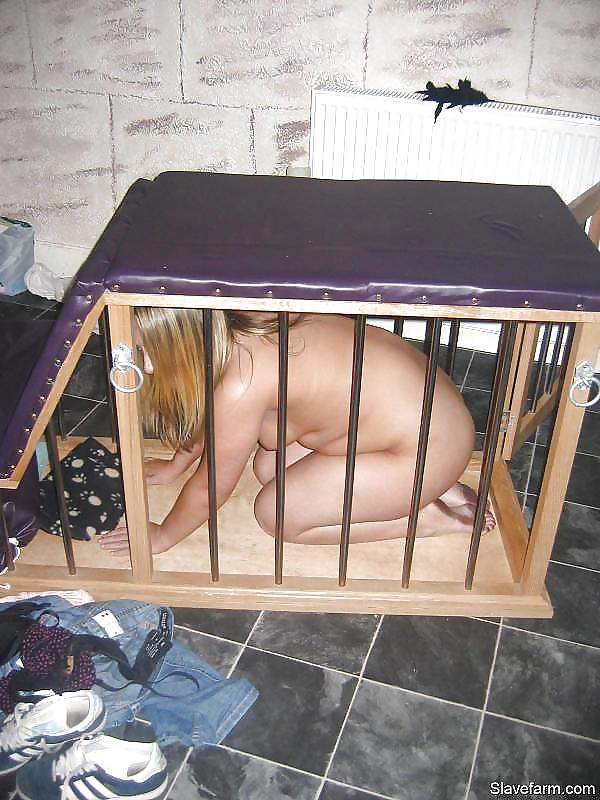 Animaux En Cage #18593285