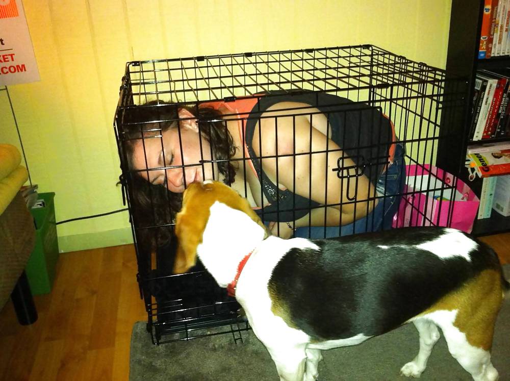 Caged Pets #18593381