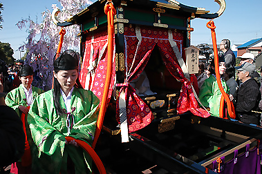 Tagata Jinja HOUNEN Matsuri #12554307