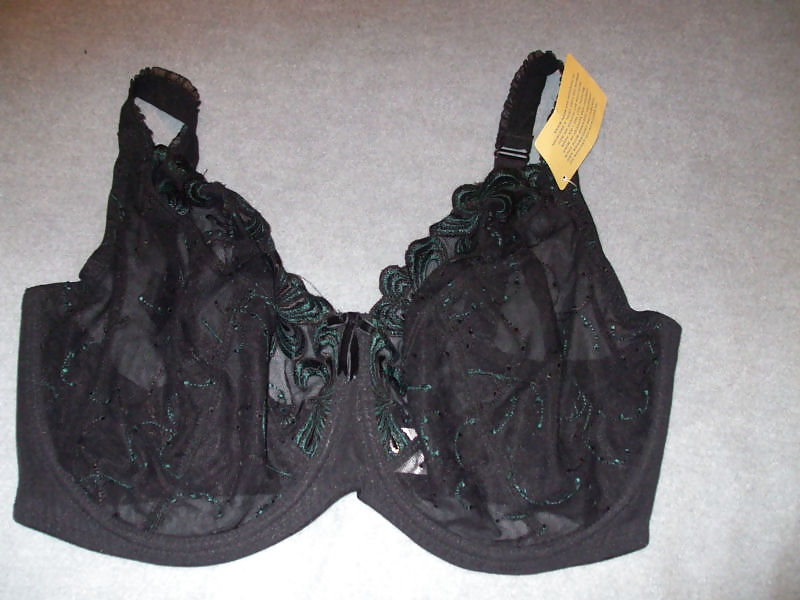 Copas G usadas
 #13077685