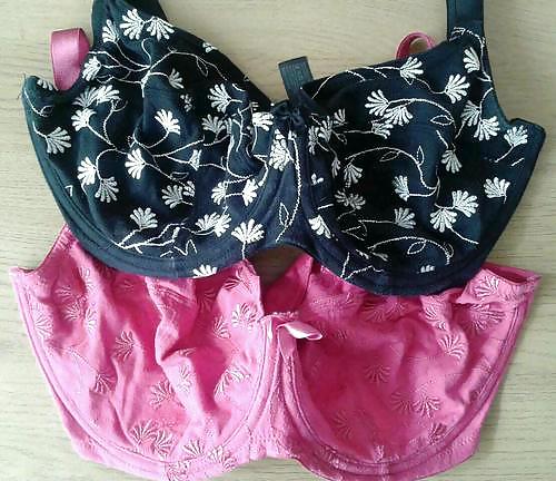 Copas G usadas
 #13077697