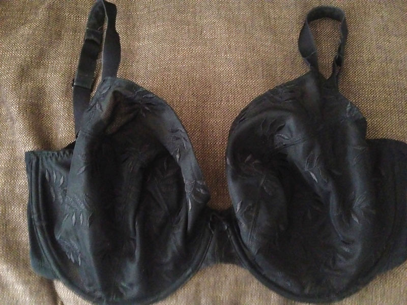 Copas G usadas
 #13077704