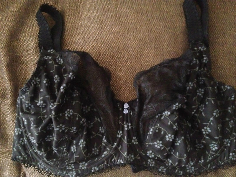 Copas G usadas
 #13077716