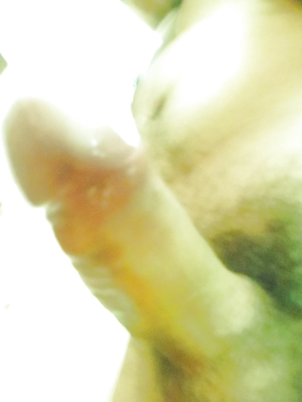 Polla joven.
 #21228104