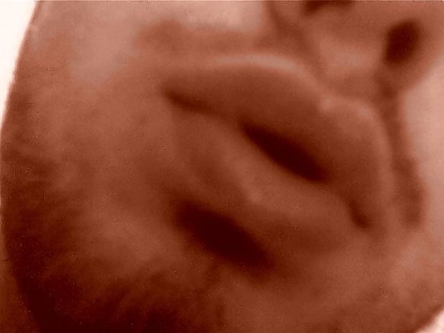 My lips-moje usne #8299855