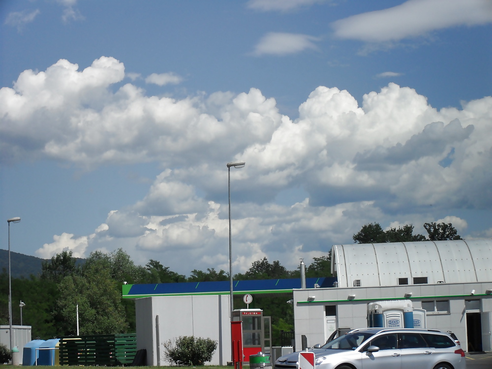 Transgender sex #8605390