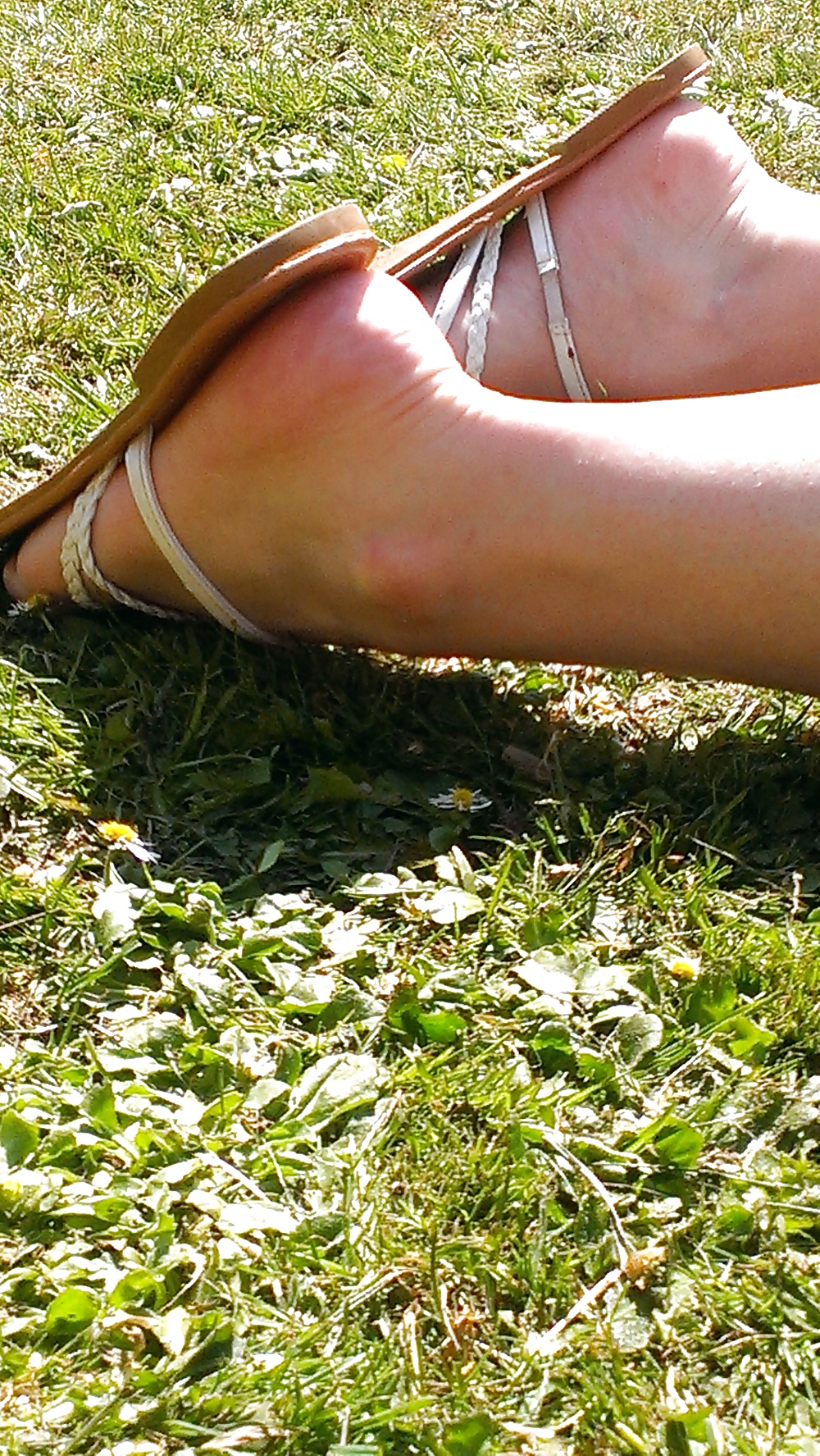 Random shoe snapps  #19916994