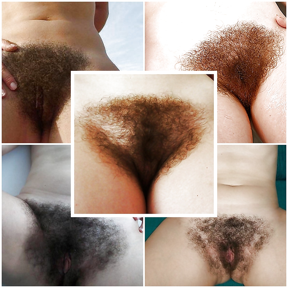 Hairy gallery #10549230