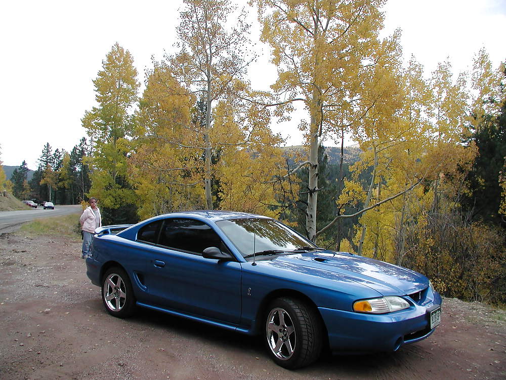 1998 mustang cobra
 #12110146