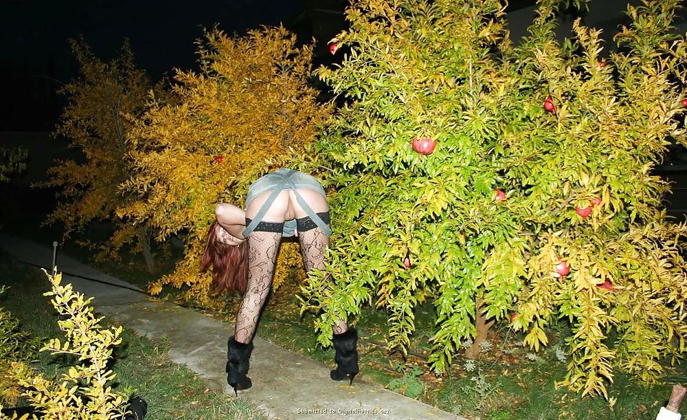 Amateur julika
 #3081872