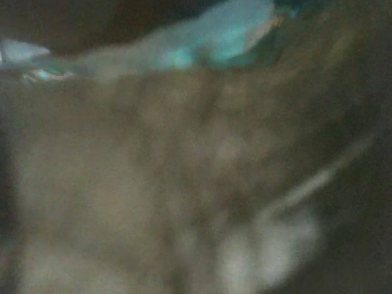 Upskirt hidjab
 #18315515