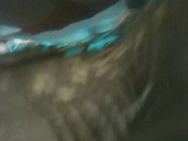 Upskirt hidjab
 #18315521
