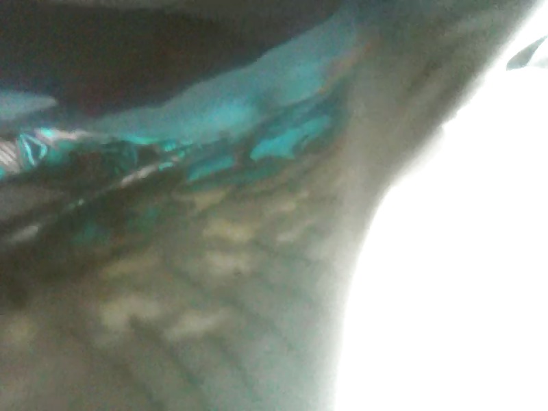 Upskirt hidjab
 #18315528