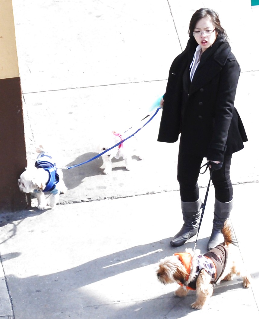 New York Sexy Dog ​​walker Mädchen #7048744