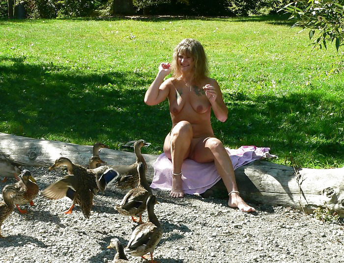 Feeding ducks #2402850
