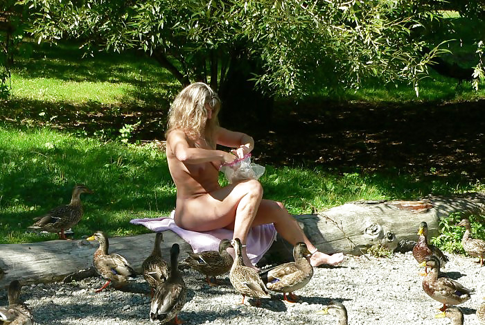 Feeding ducks #2402883