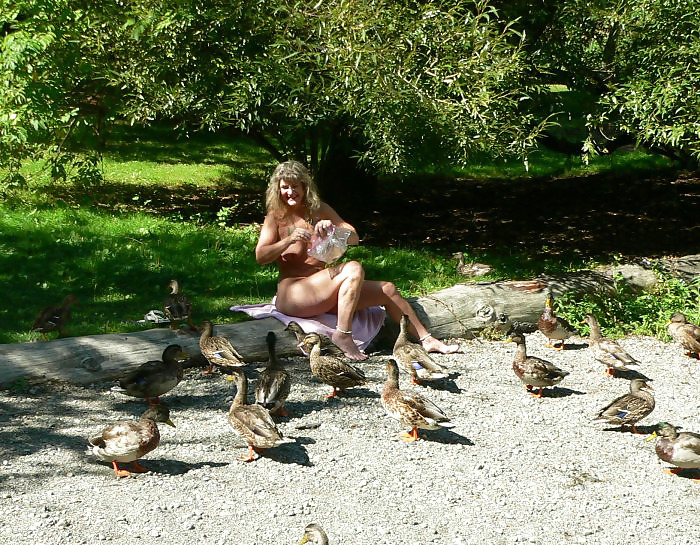 Feeding ducks #2402894