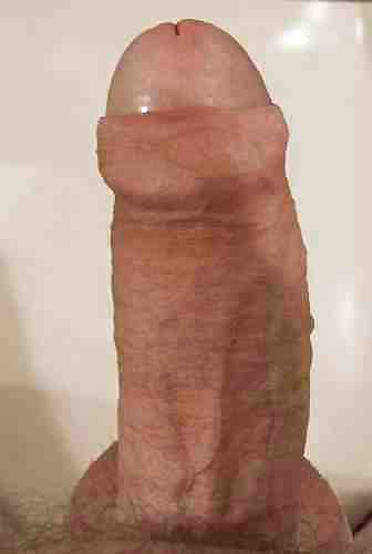 Varias fotos de nosotros
 #19283447