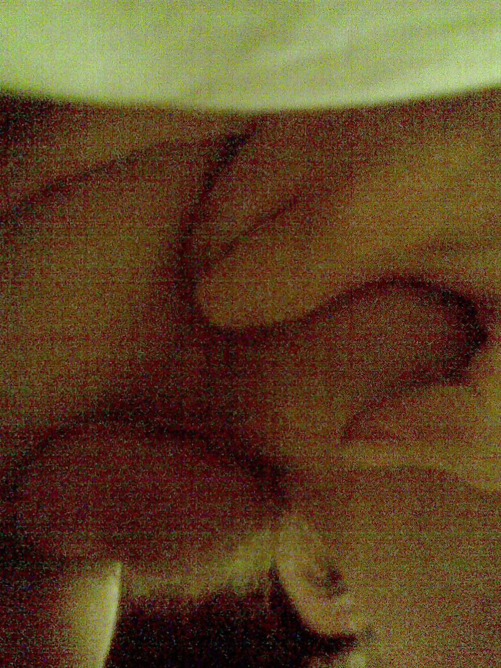 Neil 2 #9900654