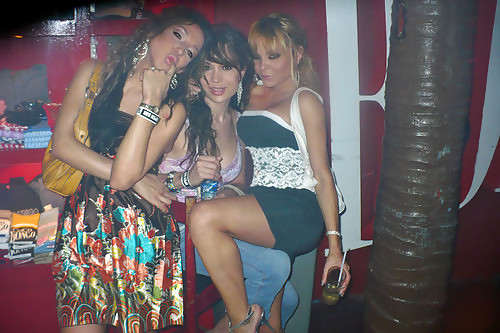 Bellezas transgénero 2
 #16911856