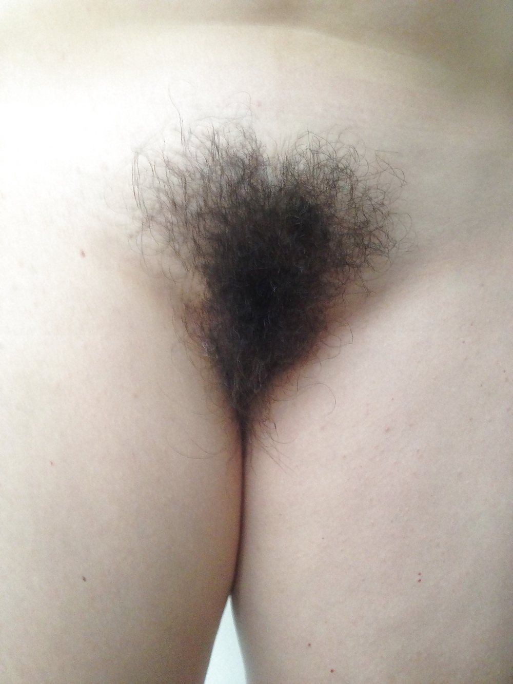 Phone pics #4600934
