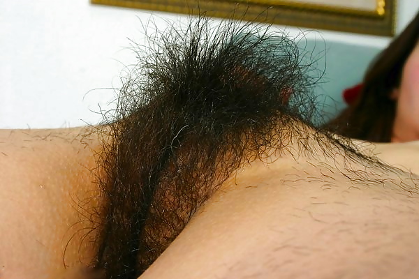 Key - Hairy Women Pussy 29 #13350494