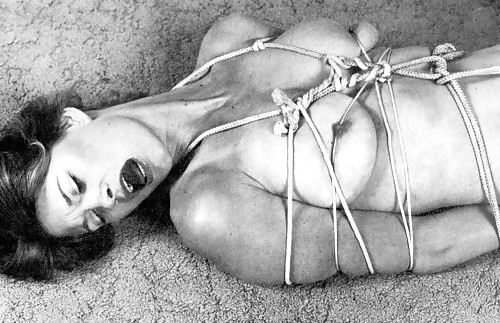 Certain 15! #9403754