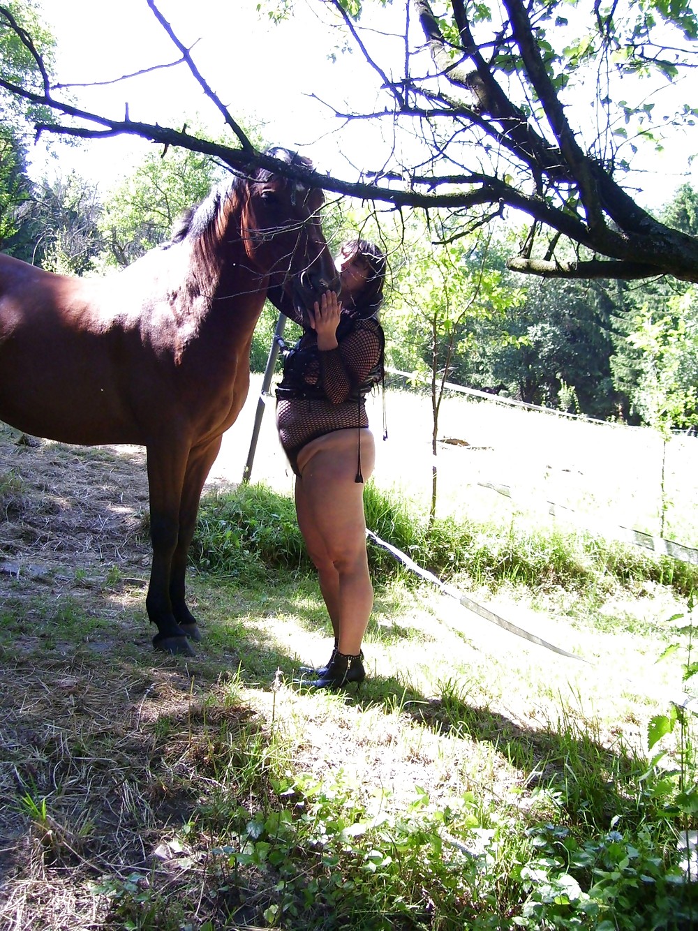 Bbw-corinna Horse Woman #821291