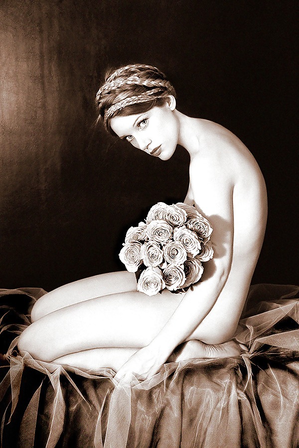 Rosa hermosa
 #2047442