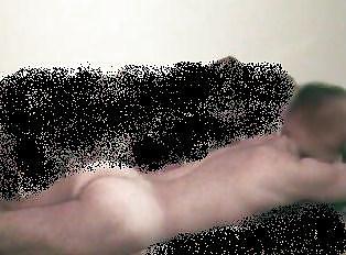 Porcello bisex
 #15602585