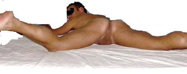 Porcello bisex
 #15602595