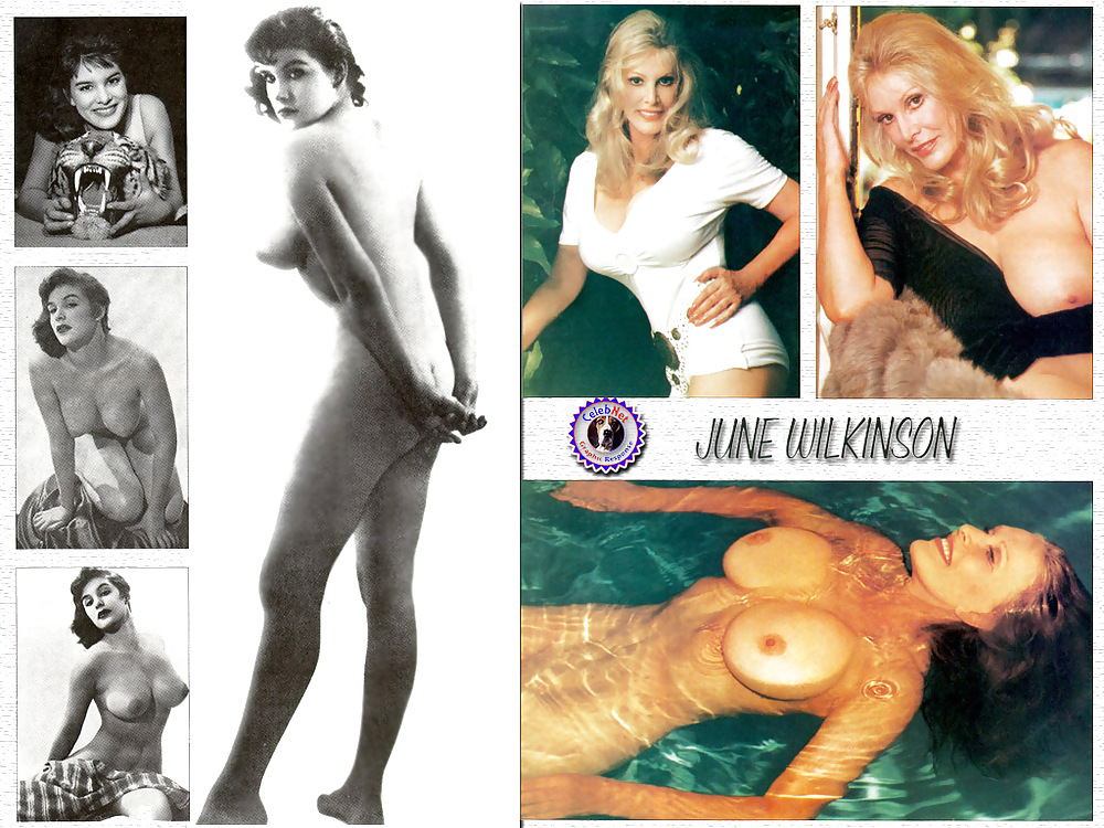 June Wilkinson Schöne Große Tit Retro Vintage Playboy #15233264