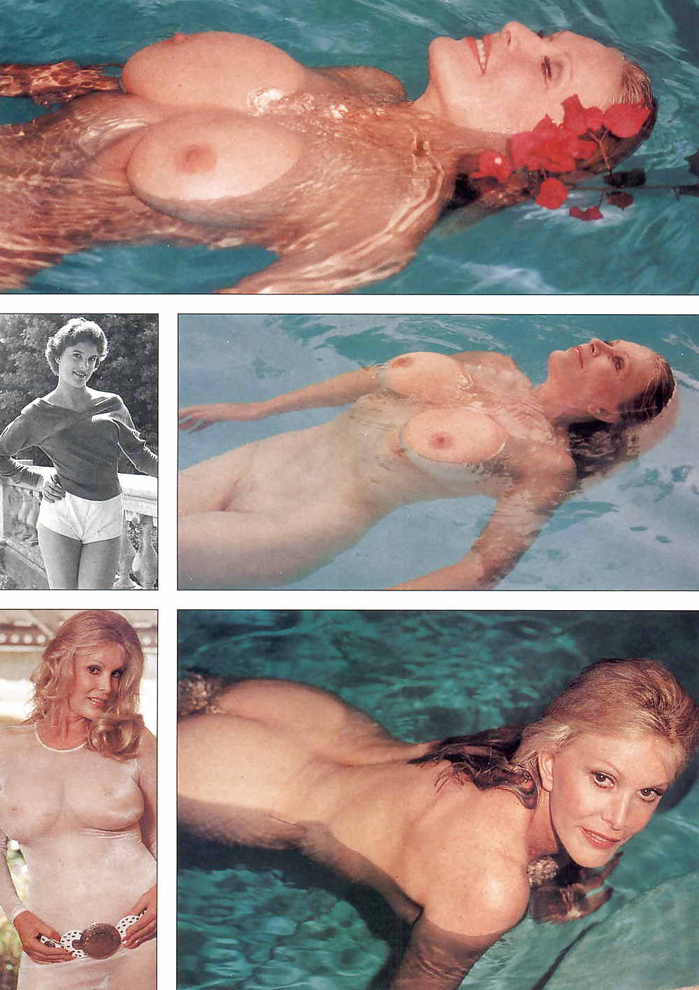 June Wilkinson Schöne Große Tit Retro Vintage Playboy #15233365