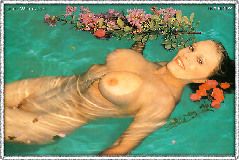 June Wilkinson BEAUTIFUL Big Tit RETRO Vintage Playboy #15233372