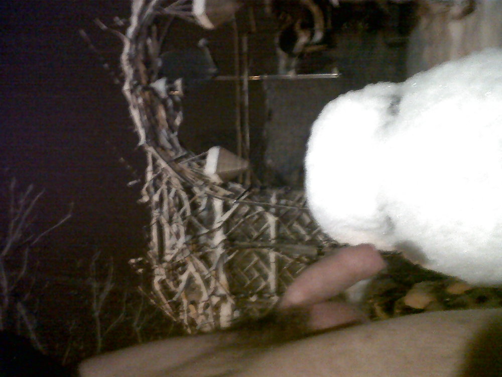 Out in the snow #2021273