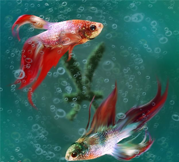Zodiak Tierkreiszeichen #3685817