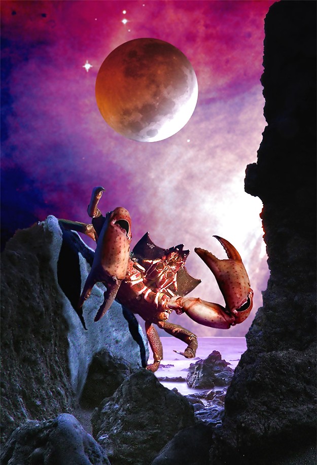 Zodiak Tierkreiszeichen #3685869