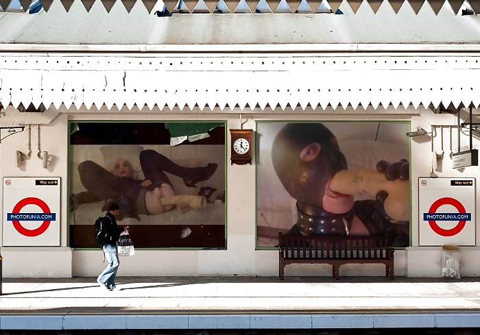 Bitch for use #16108522